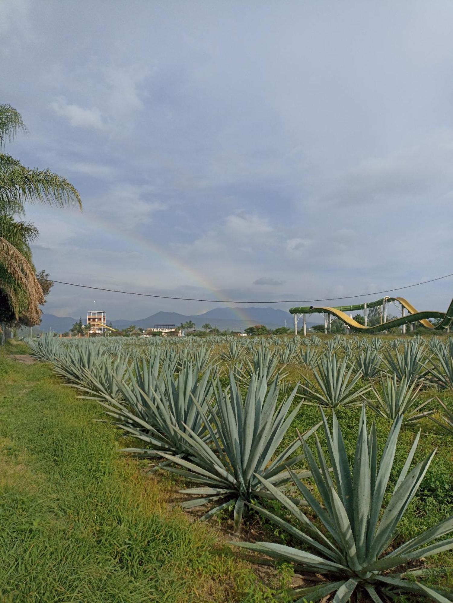 Don Pedrillo Hotell Oaxaca Eksteriør bilde